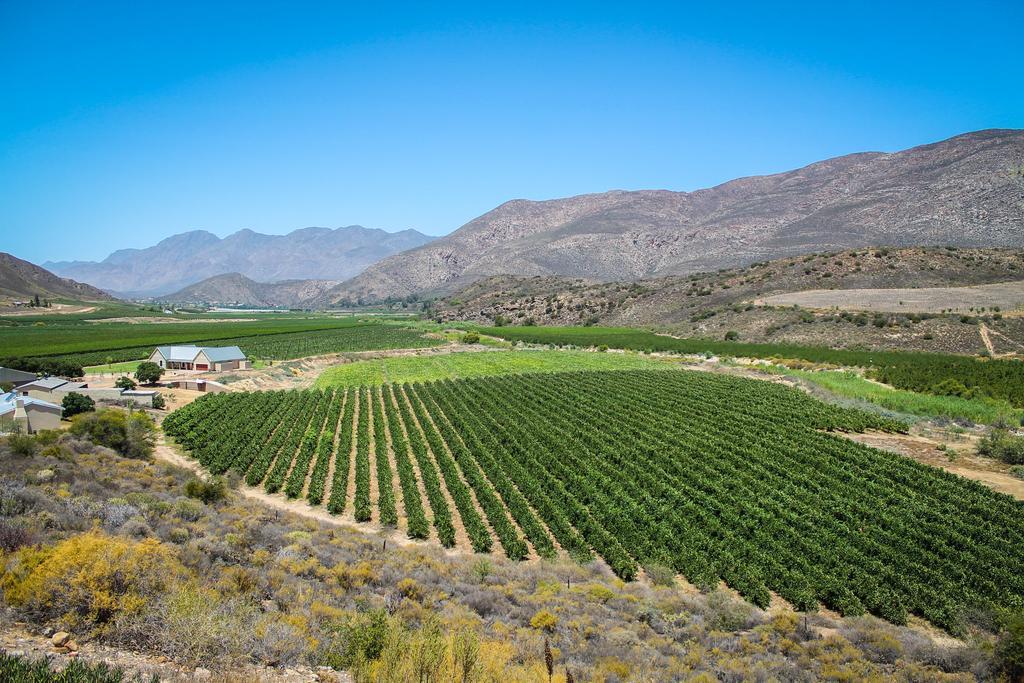 Bon Accord Farm Cottages Montagu Pokoj fotografie