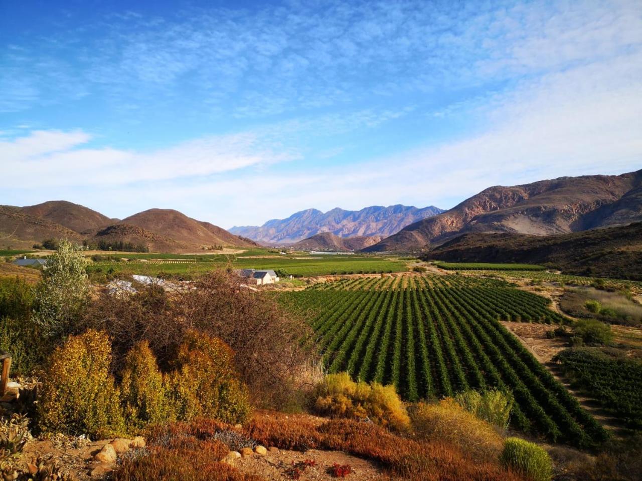 Bon Accord Farm Cottages Montagu Exteriér fotografie
